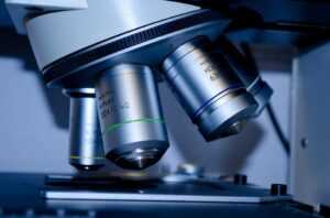 Clinical Forensic Medicine