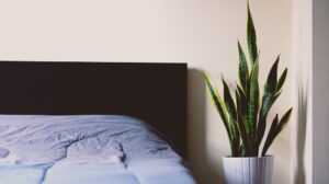 Empty bed due to sleep apnea