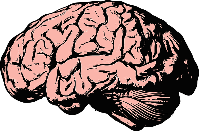 How Trauma Affects the Brain