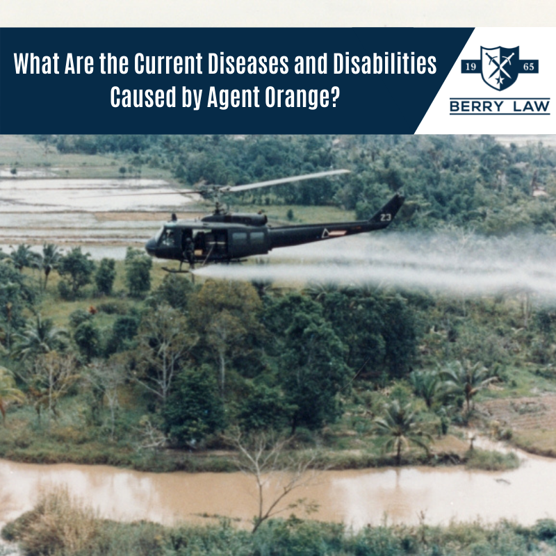 What Are the Current Diseases and Disabilities Caused by Agent Orange?